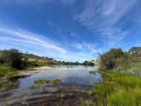 Herdade com 814hectares no Baixo Alentejo / Moura / Fronteira com Espanha