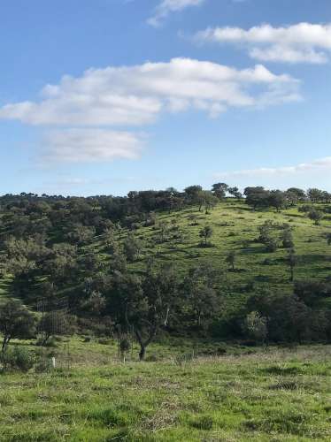 Herdade com 814hectares no Baixo Alentejo / Moura / Fronteira com Espanha