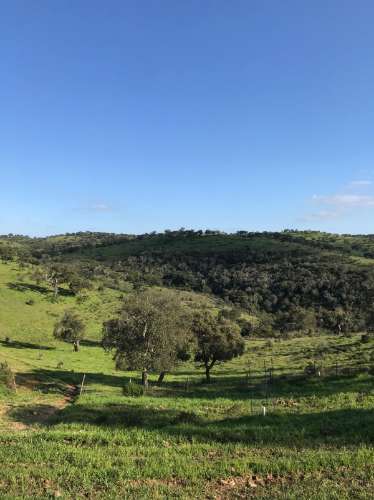 Herdade com 814hectares no Baixo Alentejo / Moura / Fronteira com Espanha