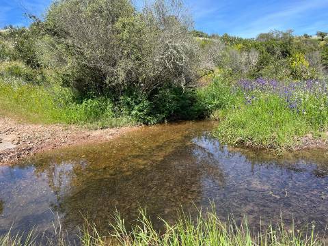 Herdade com 814hectares no Baixo Alentejo / Moura / Fronteira com Espanha