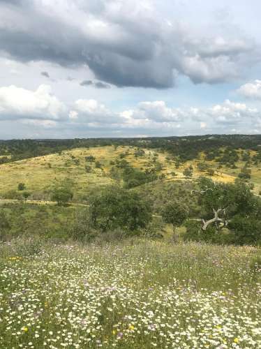 Herdade com 814hectares no Baixo Alentejo / Moura / Fronteira com Espanha