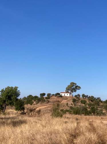 Herdade com 814hectares no Baixo Alentejo / Moura / Fronteira com Espanha
