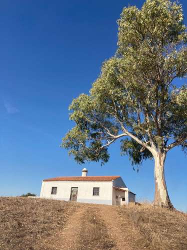 Herdade com 814hectares no Baixo Alentejo / Moura / Fronteira com Espanha