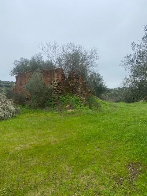 Terreno Misto em Vila Verde de Ficalho - Serpa (Beja, Portugal)