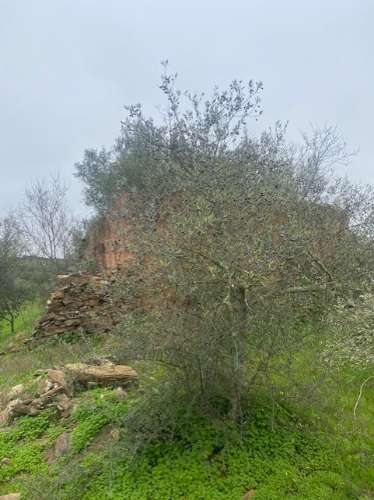 Terreno Misto em Vila Verde de Ficalho - Serpa (Beja, Portugal)