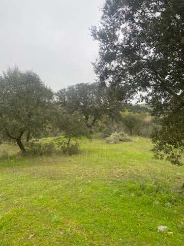Terreno Misto em Vila Verde de Ficalho - Serpa (Beja, Portugal)