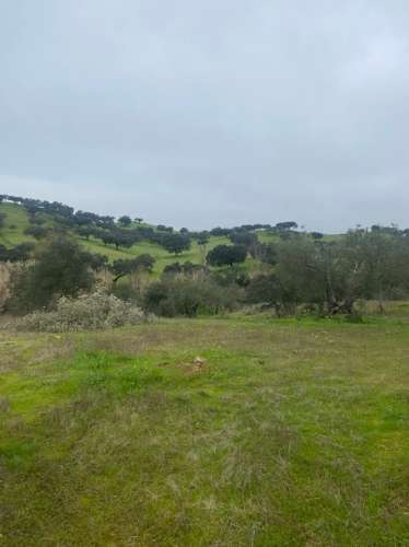 Terreno Misto em Vila Verde de Ficalho - Serpa (Beja, Portugal)