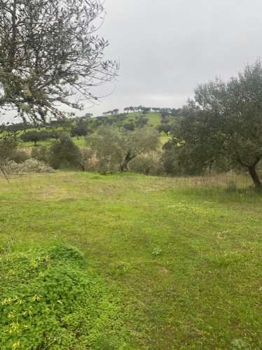 Terreno Misto em Vila Verde de Ficalho - Serpa (Beja, Portugal)