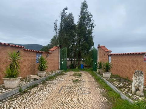 Quintinha de charme com 1,7 ha, capela privada e abundância de água - Vila Verde de Ficalho (Serpa)
