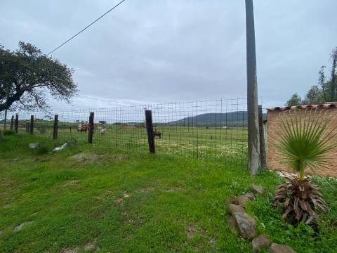 Quintinha de charme com 1,7 ha, capela privada e abundância de água - Vila Verde de Ficalho (Serpa)