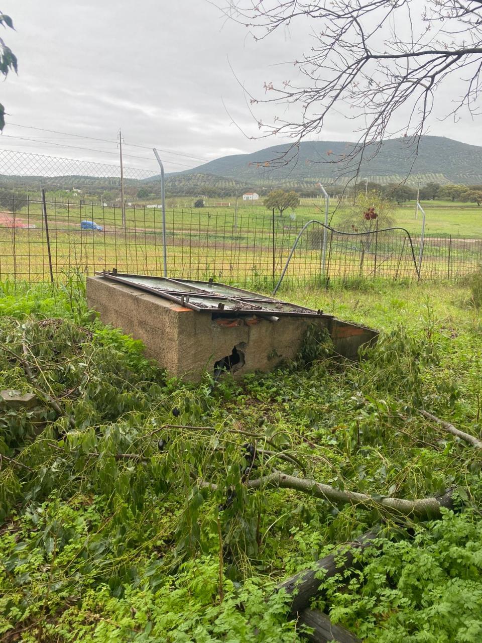 Quintinha de charme com 1,7 ha, capela privada e abundância de água - Vila Verde de Ficalho (Serpa)