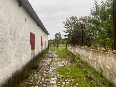 Quintinha de charme com 1,7 ha, capela privada e abundância de água - Vila Verde de Ficalho (Serpa)