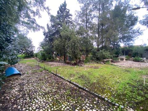 Quintinha de charme com 1,7 ha, capela privada e abundância de água - Vila Verde de Ficalho (Serpa)