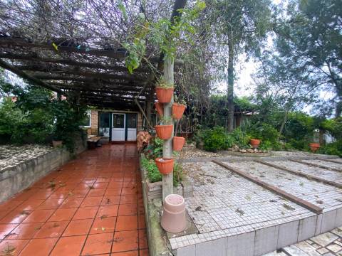 Quintinha de charme com 1,7 ha, capela privada e abundância de água - Vila Verde de Ficalho (Serpa)