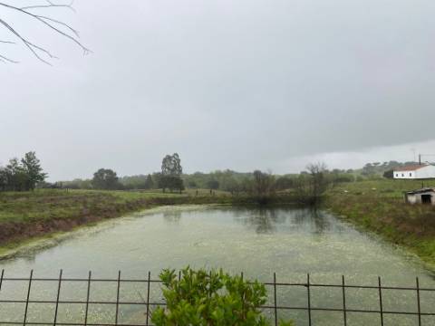 Quintinha de charme com 1,7 ha, capela privada e abundância de água - Vila Verde de Ficalho (Serpa)