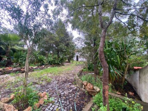 Quintinha de charme com 1,7 ha, capela privada e abundância de água - Vila Verde de Ficalho (Serpa)