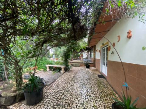 Quintinha de charme com 1,7 ha, capela privada e abundância de água - Vila Verde de Ficalho (Serpa)