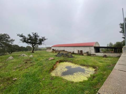Quintinha de charme com 1,7 ha, capela privada e abundância de água - Vila Verde de Ficalho (Serpa)