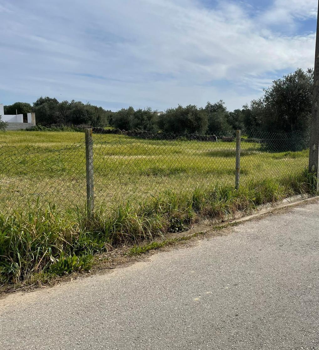 TERRENO URBANO PARA VENDA EM VILA NOVA DE SÃO BENTO