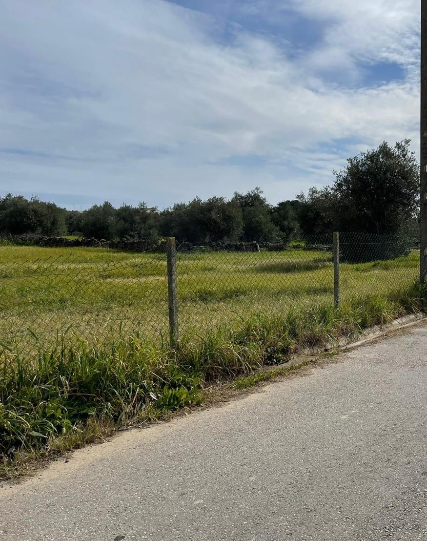 TERRENO URBANO PARA VENDA EM VILA NOVA DE SÃO BENTO