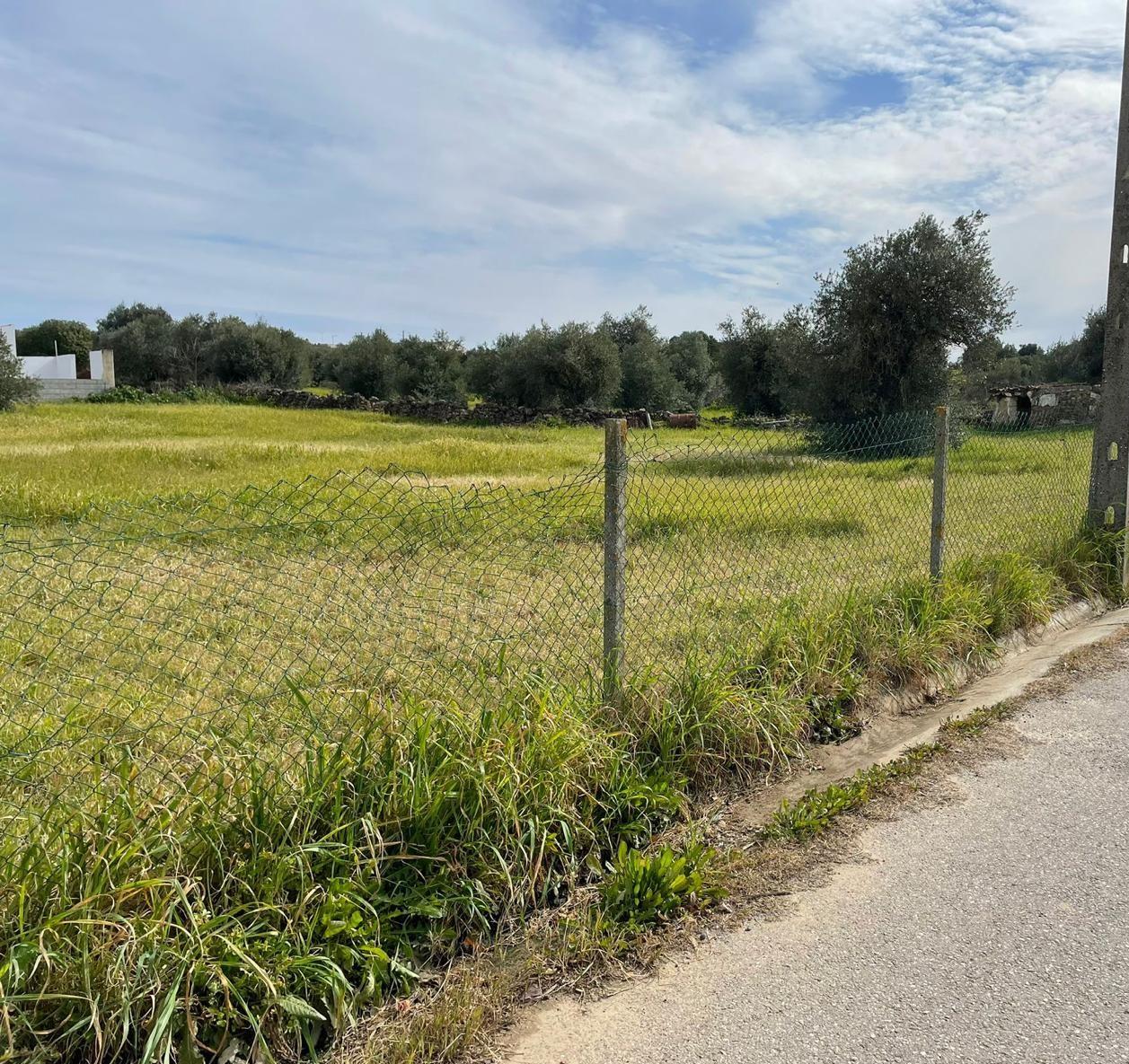 TERRENO URBANO PARA VENDA EM VILA NOVA DE SÃO BENTO