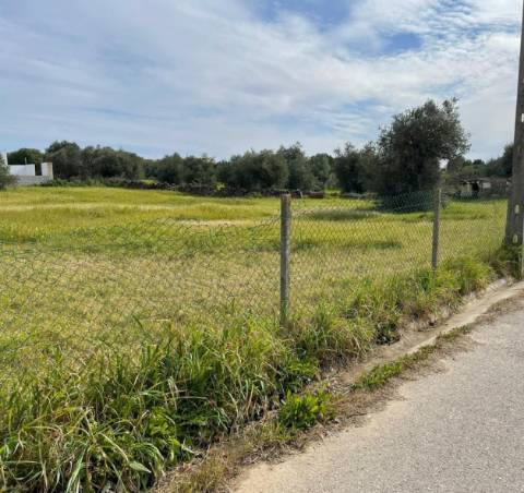 TERRENO URBANO PARA VENDA EM VILA NOVA DE SÃO BENTO