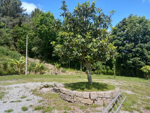 Quinta de Eventos em Paredes