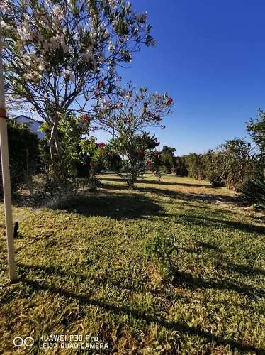 Monte Alentejano a poucos minutos da praia de Melides! OPORTUNIDADE DE NEGÓCIO!