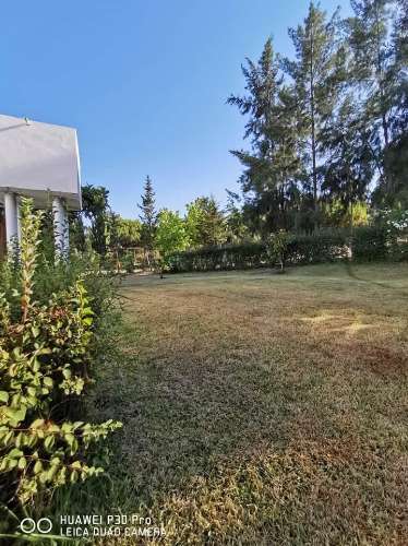 Monte Alentejano a poucos minutos da praia de Melides! OPORTUNIDADE DE NEGÓCIO!