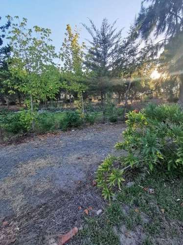 Monte Alentejano a poucos minutos da praia de Melides! OPORTUNIDADE DE NEGÓCIO!