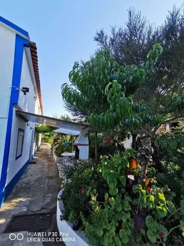 Monte Alentejano a poucos minutos da praia de Melides! OPORTUNIDADE DE NEGÓCIO!
