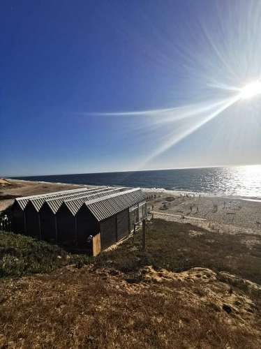 Monte Alentejano a poucos minutos da praia de Melides! OPORTUNIDADE DE NEGÓCIO!