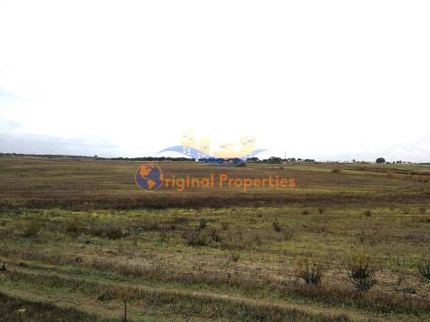 Terreno rústico com hidrantes do Alqueva com 24ha