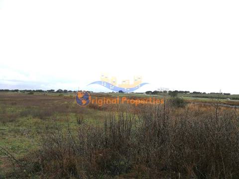 Terreno rústico com hidrantes do Alqueva com 24ha