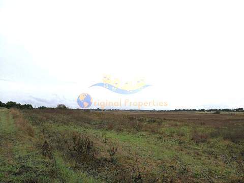 Terreno rústico com hidrantes do Alqueva com 24ha