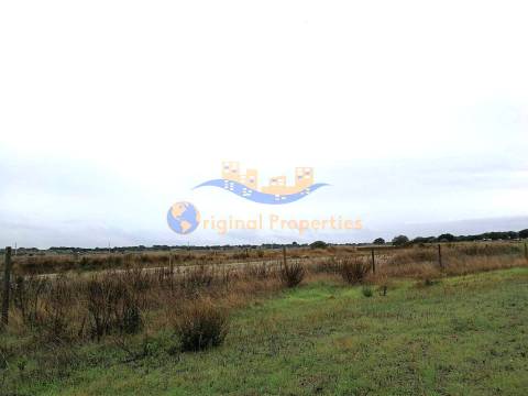 Terreno rústico com hidrantes do Alqueva com 24ha
