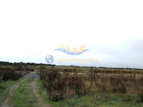 Terreno rústico com hidrantes do Alqueva com 24ha