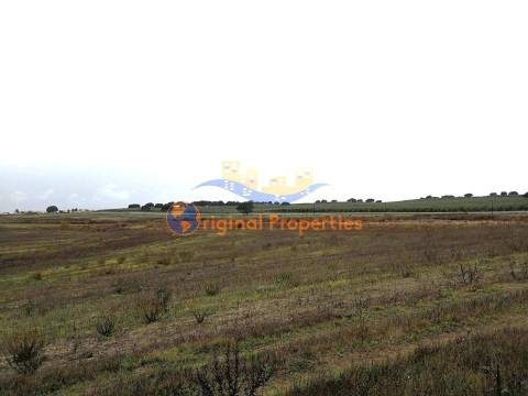 Terreno rústico com hidrantes do Alqueva com 24ha