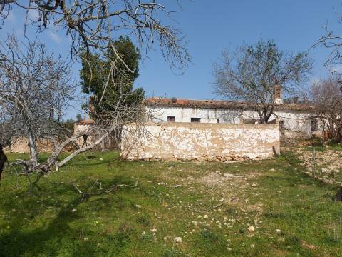 Quintinha com casa antiga a 15 minutos de Albufeira com furo !