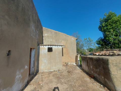 Quintinha com casa antiga a 15 minutos de Albufeira com furo !