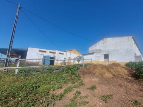 Monte Alentejano com amplas áreas de construção! Ideal para Turismo Rural! Oportunidade!