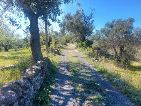 Terreno com Ruína com vista serra e mar