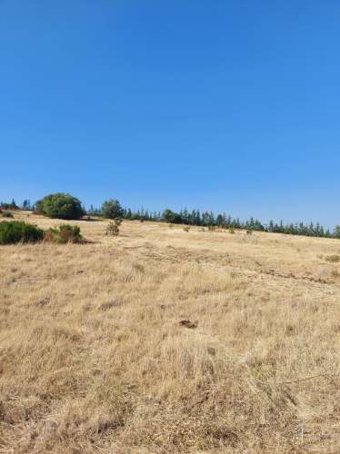 Herdade agrícola de Regadio em Ferreira do Alentejo com excelentes condições e água da Edia