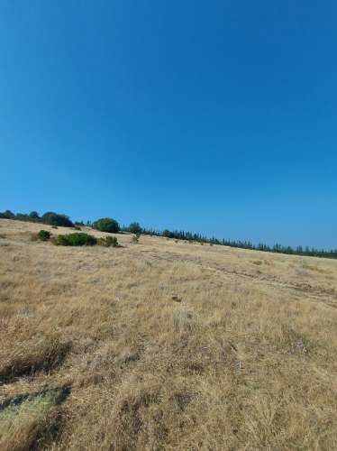 Herdade agrícola de Regadio em Ferreira do Alentejo com excelentes condições e água da Edia