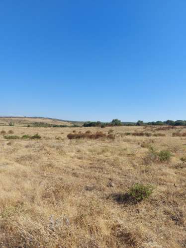 Herdade agrícola de Regadio em Ferreira do Alentejo com excelentes condições e água da Edia