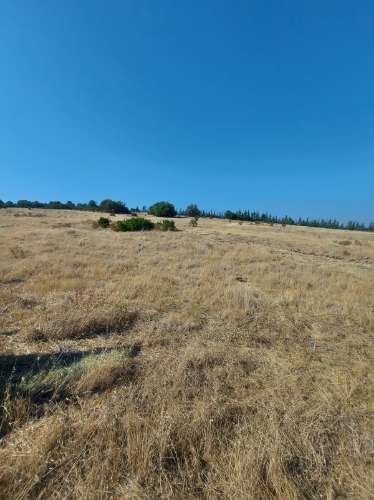 Herdade agrícola de Regadio em Ferreira do Alentejo com excelentes condições e água da Edia