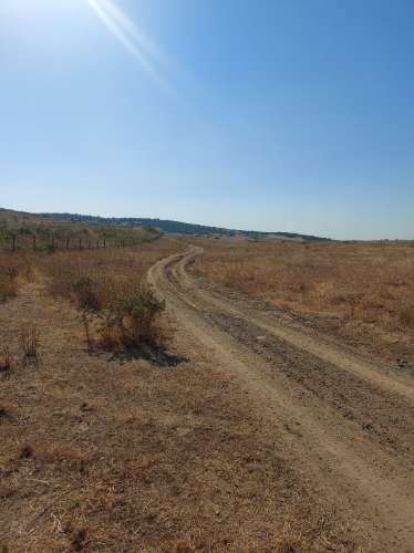 Herdade agrícola de Regadio em Ferreira do Alentejo com excelentes condições e água da Edia