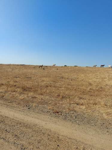 Herdade agrícola de Regadio em Ferreira do Alentejo com excelentes condições e água da Edia