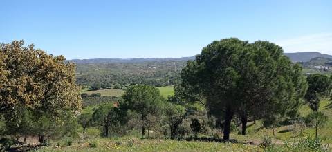 Herdade com características únicas para projeto hoteleiro com ca de