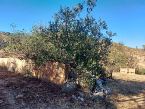 Quinta Rural em Monchique ! Excelente investimento para turismo rural!